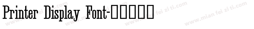 Printer Display Font字体转换